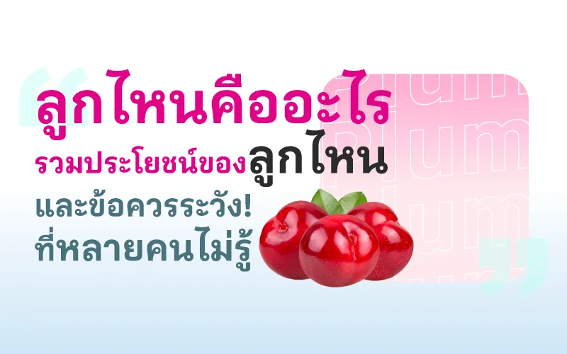 "ลูกไหนคืออะไร" รวมประโยชน์ของลูกไหนและข้อควรระวังที่หลายคนไม่รู้